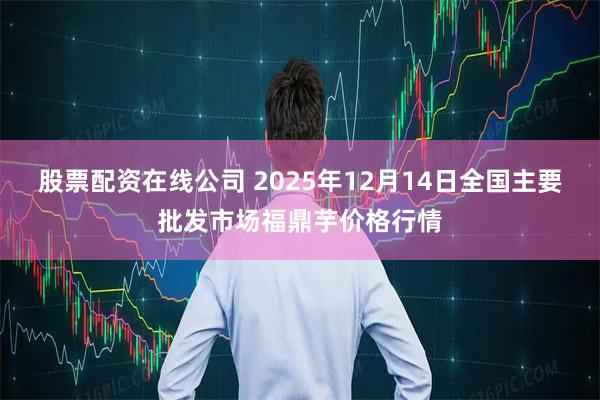 股票配资在线公司 2025年12月14日全国主要批发市场福鼎芋价格行情