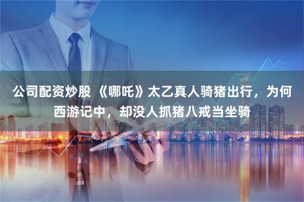 公司配资炒股 《哪吒》太乙真人骑猪出行，为何西游记中，却没人抓猪八戒当坐骑